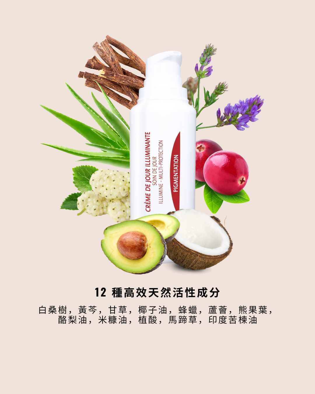 全效淨白防護日霜 Brightening Day Cream