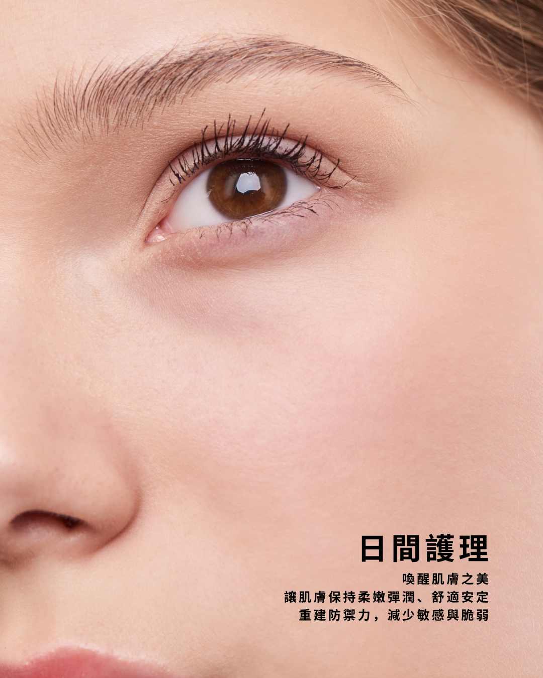 精萃水潤保濕霜 Pfaffia Hydra Repair Balm