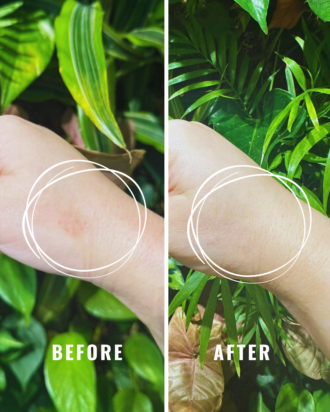 SOS修護凝膠 Dermo-repair Gel