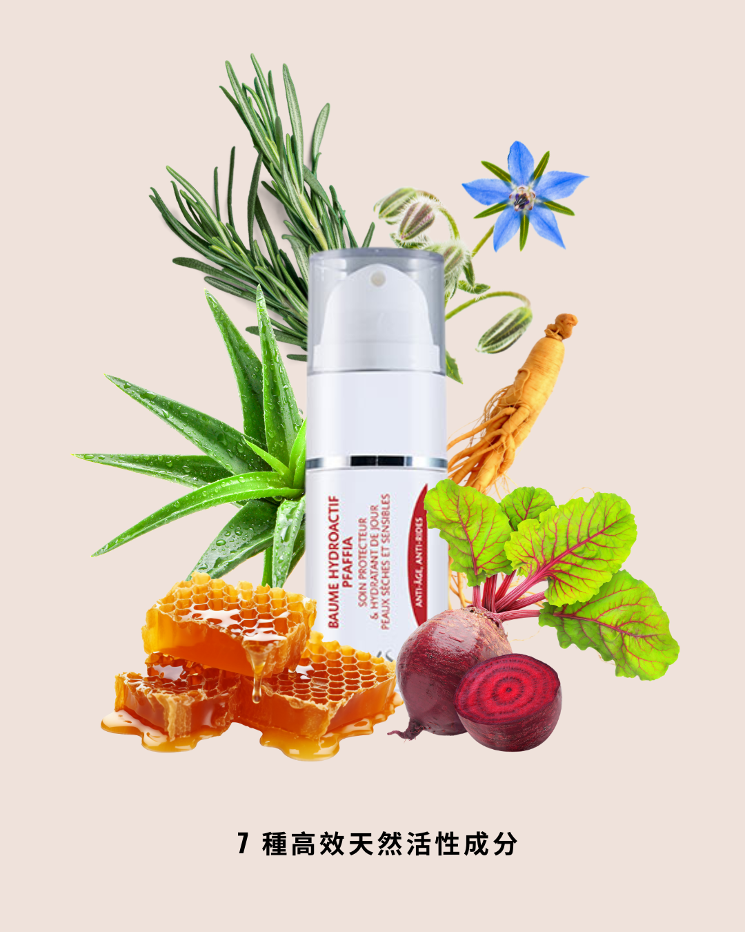 精萃水潤保濕霜 Pfaffia Hydra Repair Balm