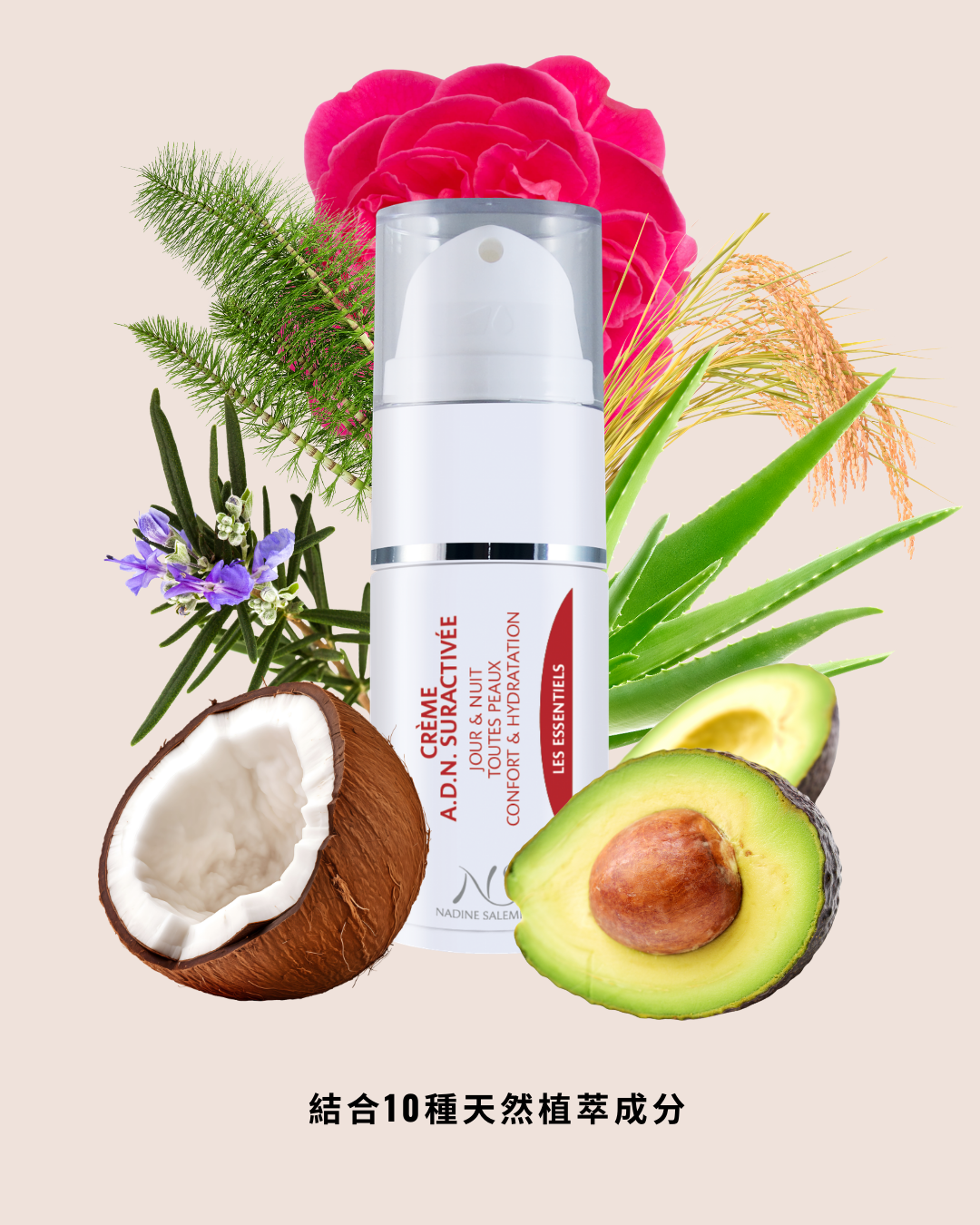 多元活化修護霜 D.N.A Super Active Cream