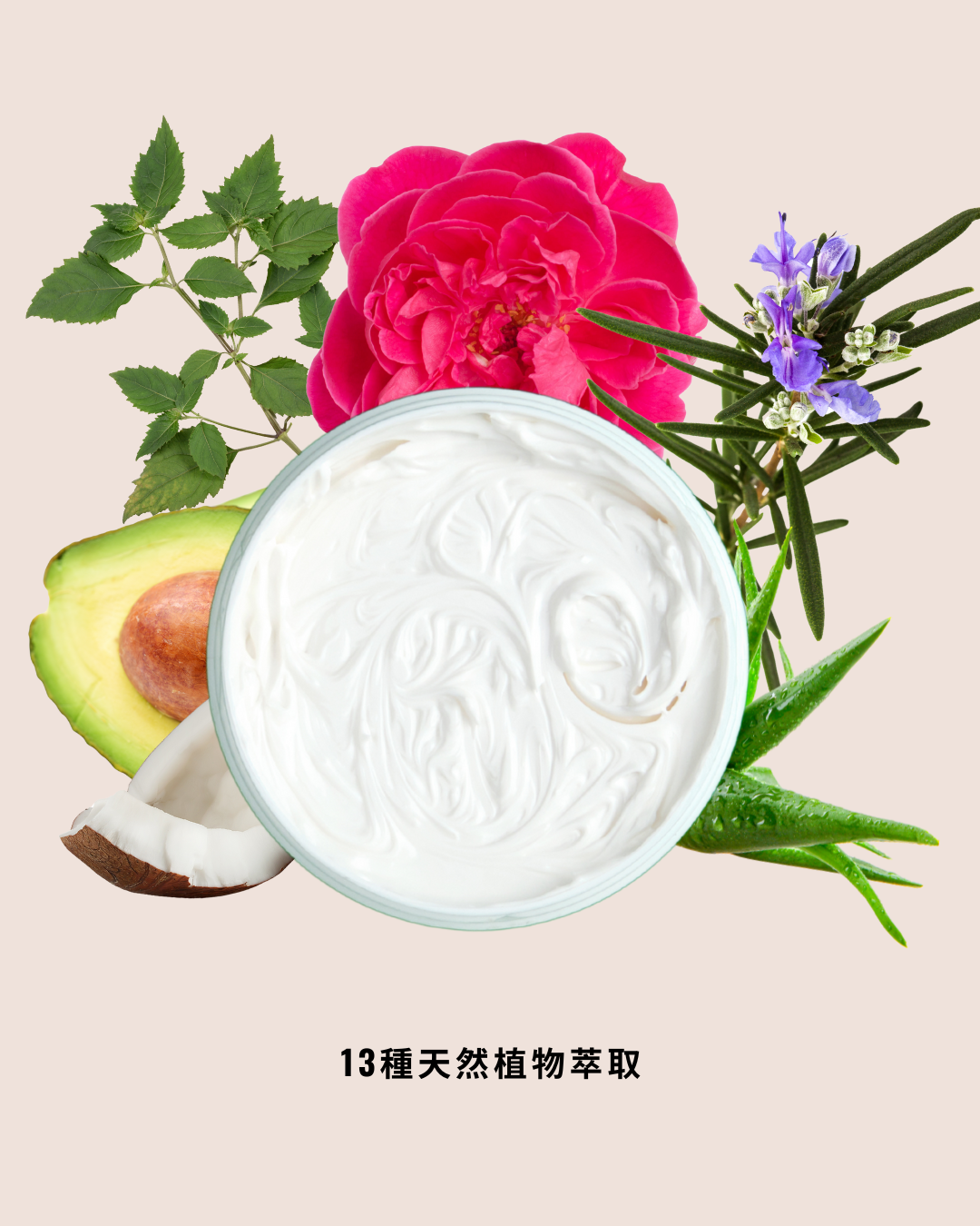 玻尿酸煥齡活顏霜  Vityal with Hyaluronic Acid