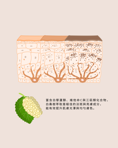 全效淨白防護日霜  Brightening Day Cream