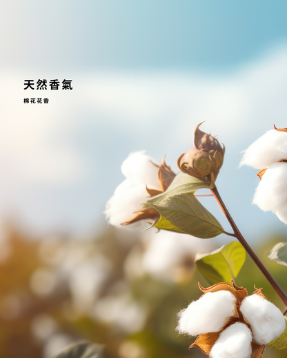 植萃修護唇蜜 COTTON FLOWER LIP BALM