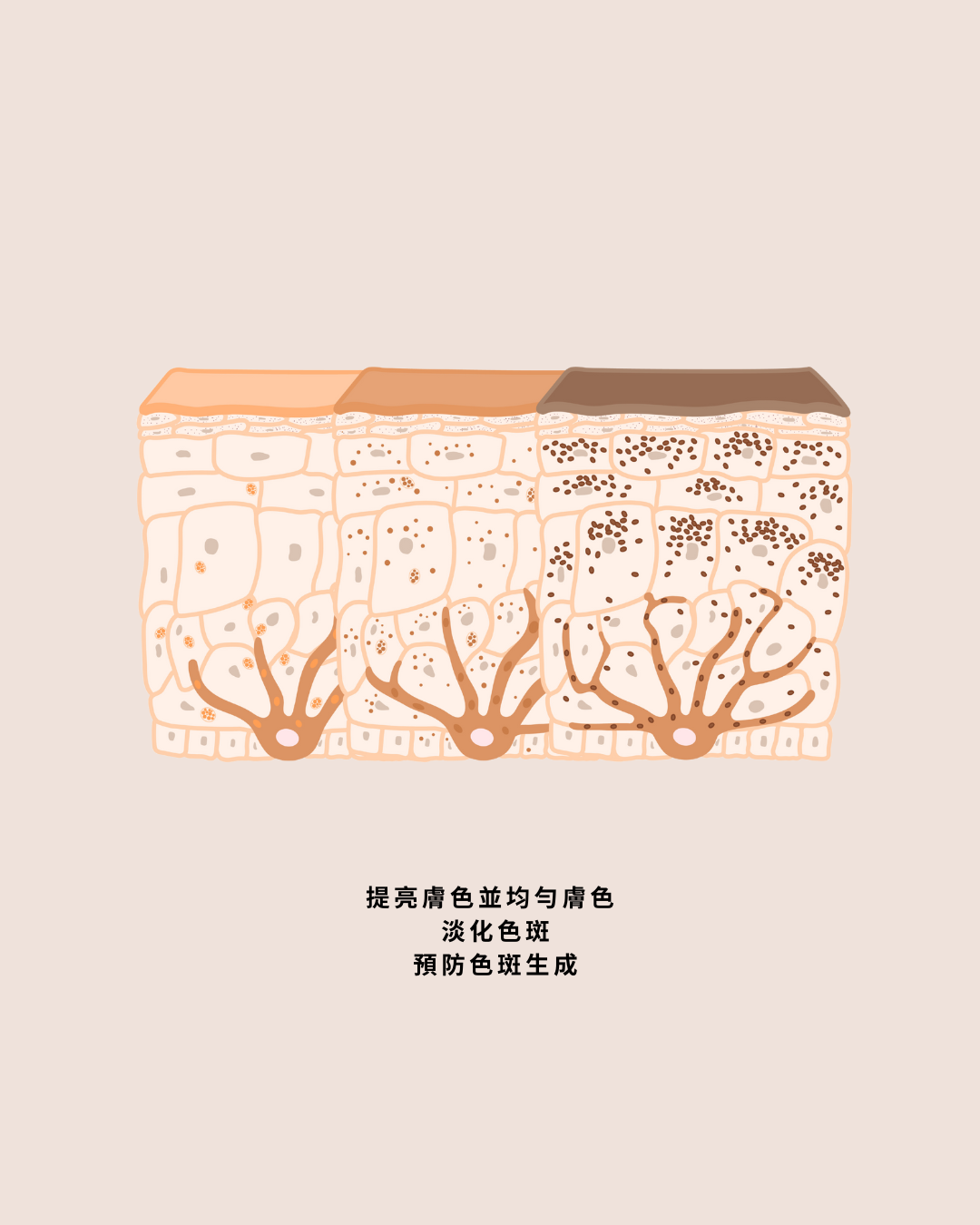 淨白柔皙卸妝乳 Brightening Cleansing Milk