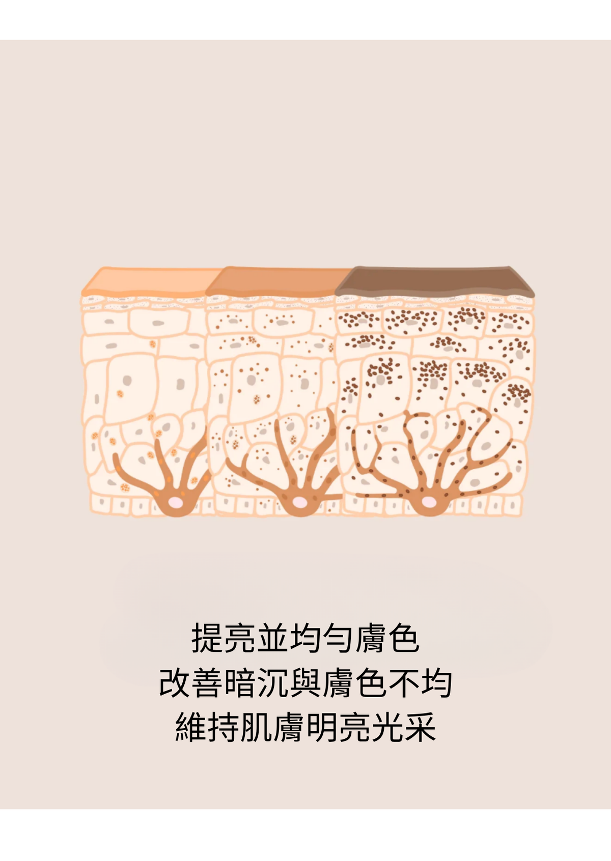 [PRO]亮白煥采剝落式面膜 Whitening Peel-Off Mask
