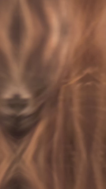 巴西人參植萃能量護理組 Box of 5 Pfaffia Boost Routines